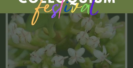 UMD RESEARCH COLLOQUIUM FESTIVAL