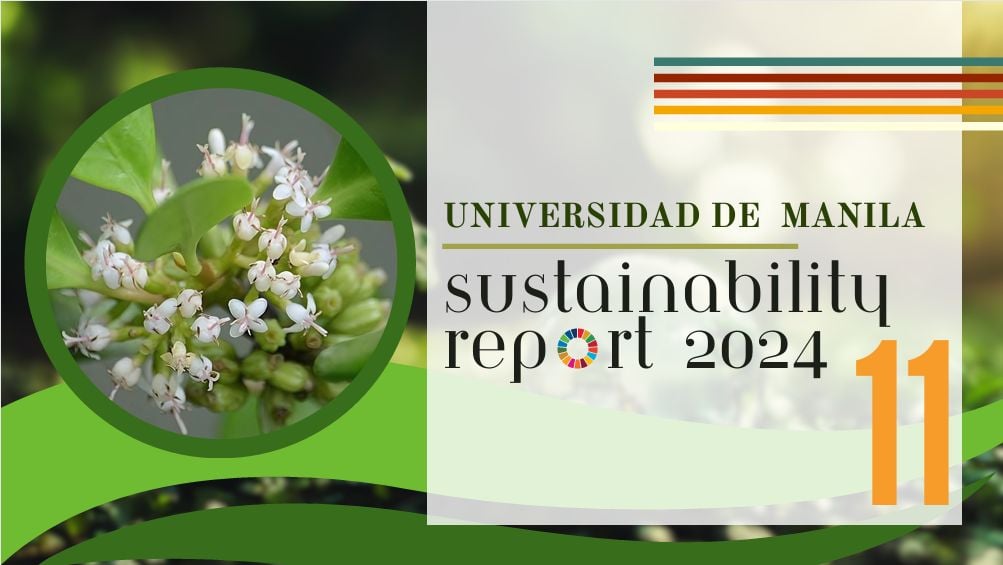 SDG11